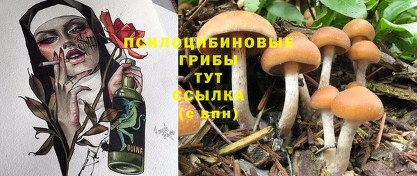 наркотики Белокуриха
