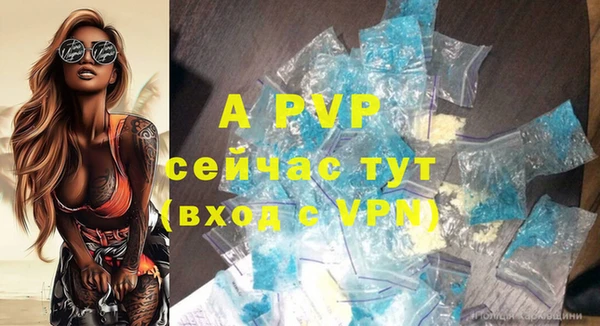 экстази Богданович