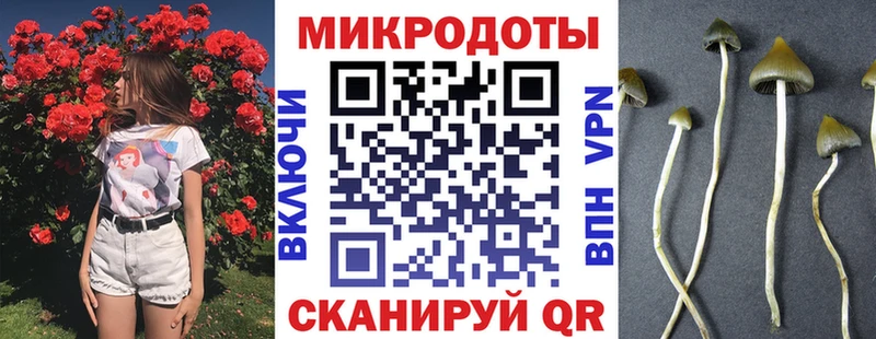 маркетплейс наркотические препараты  Бугульма  Галлюциногенные грибы прущие грибы  МЕГА зеркало 