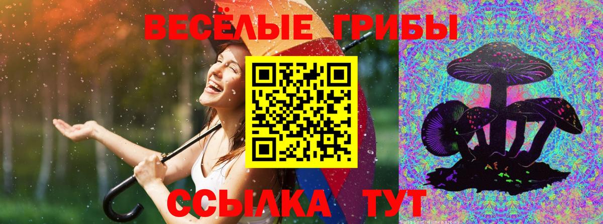 Псилоцибиновые грибы мицелий  Вход с VPN  наркотики  Бугульма 